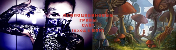 PSILOCYBIN Пересвет